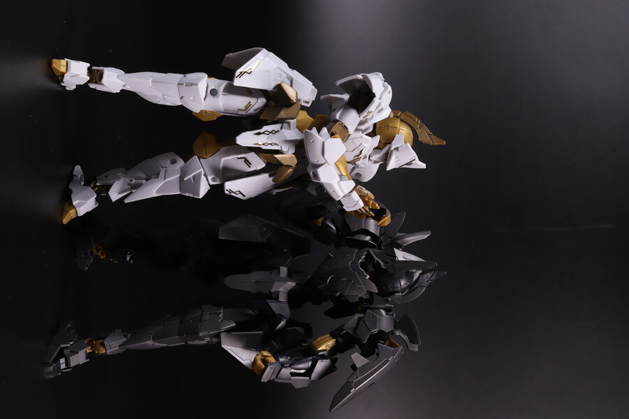 30MM] 스피나티오 로열 나이트 타입_36.jpg