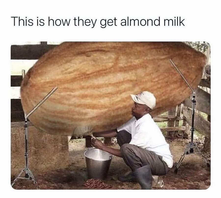 아몬드유 만드는 법_1.jpg