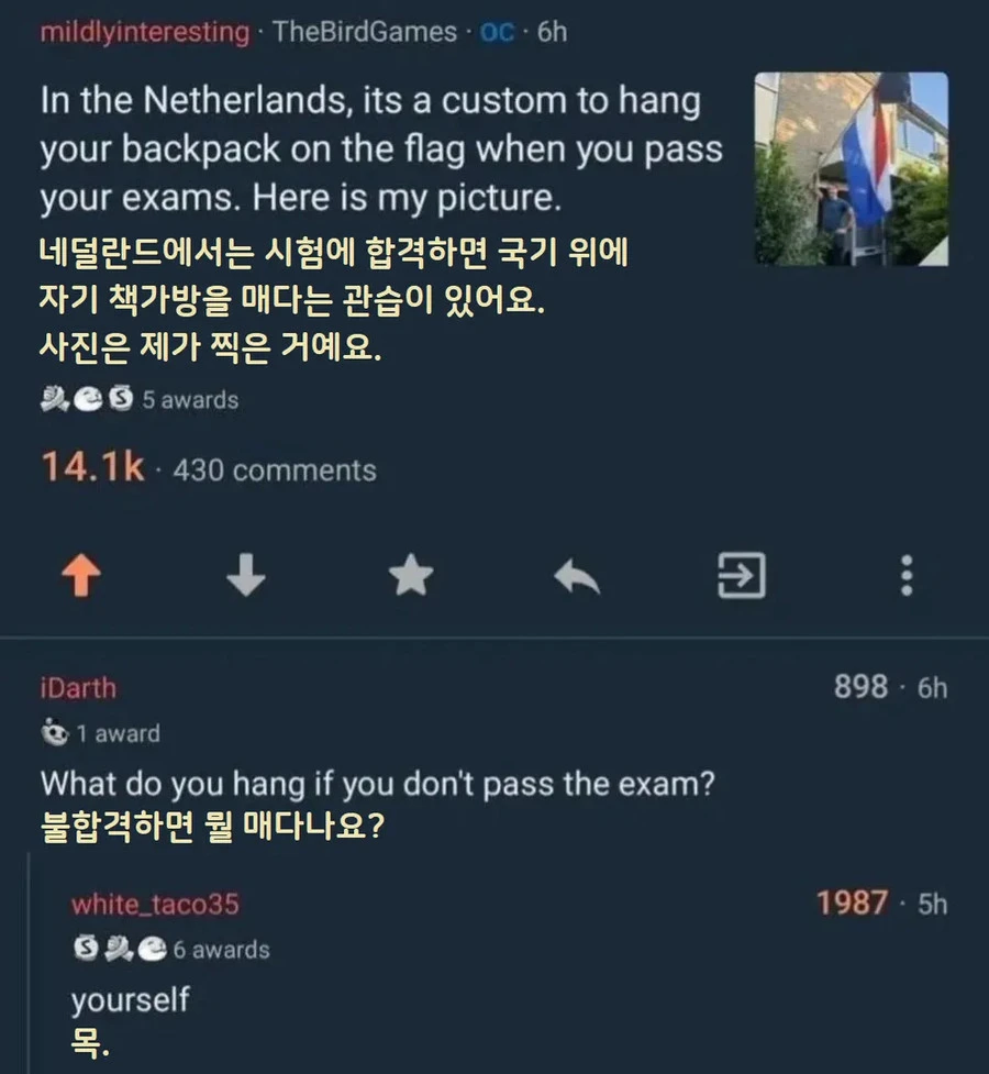 네덜란드 대학생들의 전통_1.webp