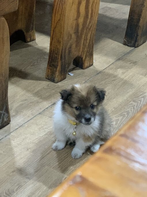 식당에서 밥먹는데 유독 소화가 안되는 이유_2.jpg