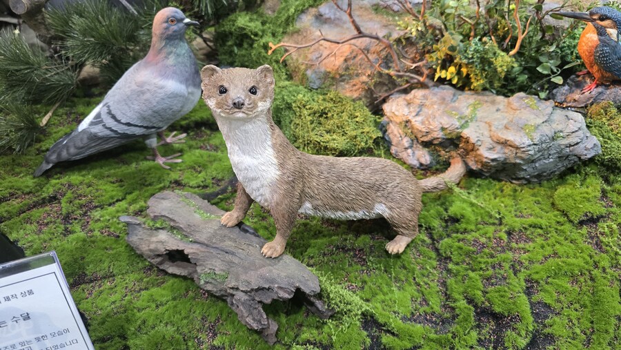 2025 하비페어 현장사진 (세텍 전시장)_15.jpg