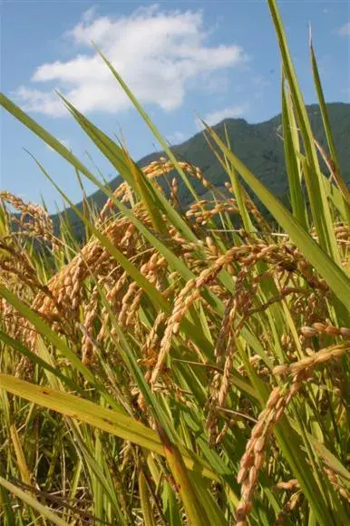 엄밀히 따지면 서구권 기준으로 정확한 토질조사표_3.webp