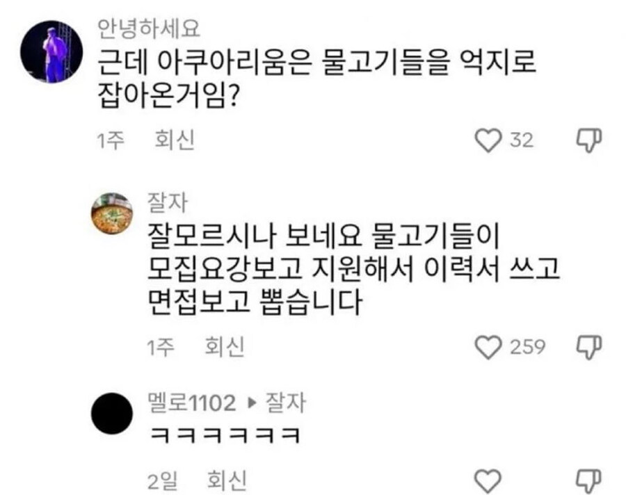 아쿠아리움 물고기 특_1.jpg