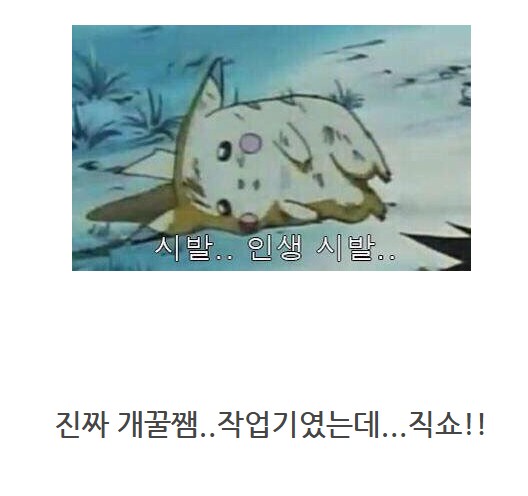 노을이의 기묘한 메탈빌드 수리_47.png