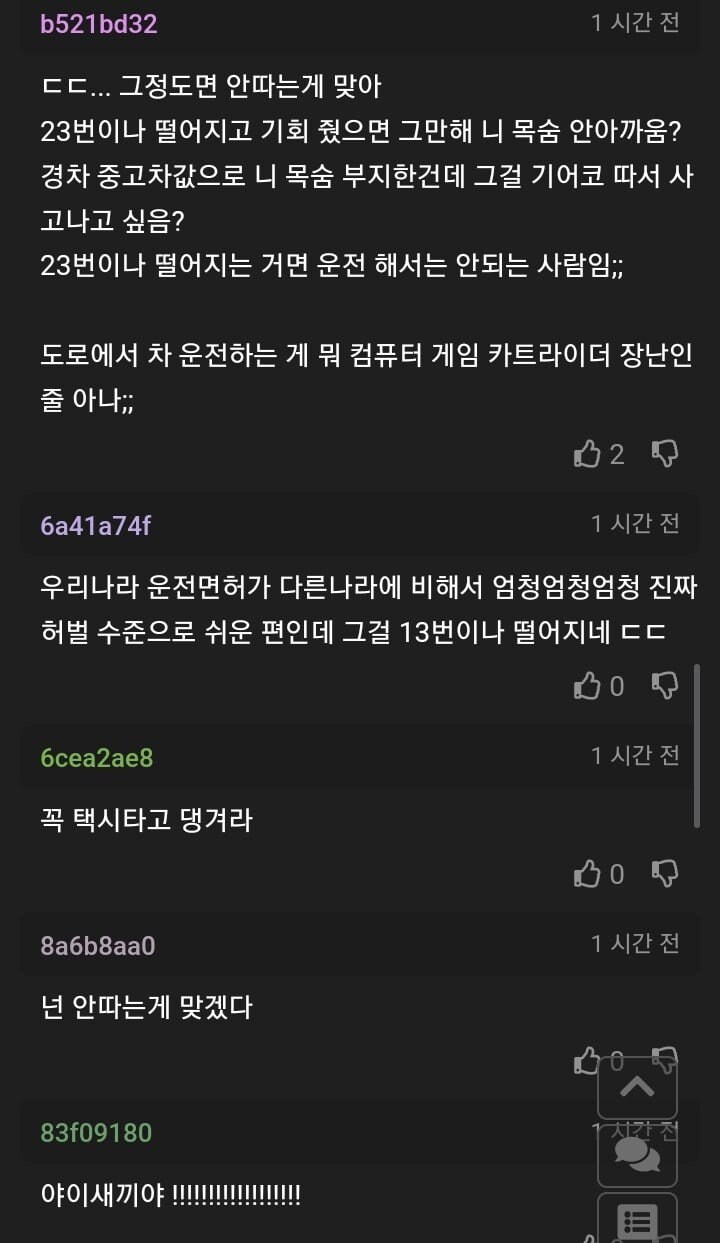 이번에는 면허시험 붙고 싶다는 사람 + 후기 | 인스티즈