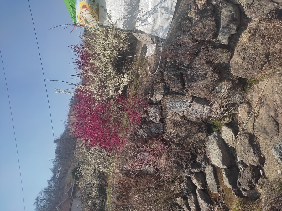 광양 여행_78.jpg