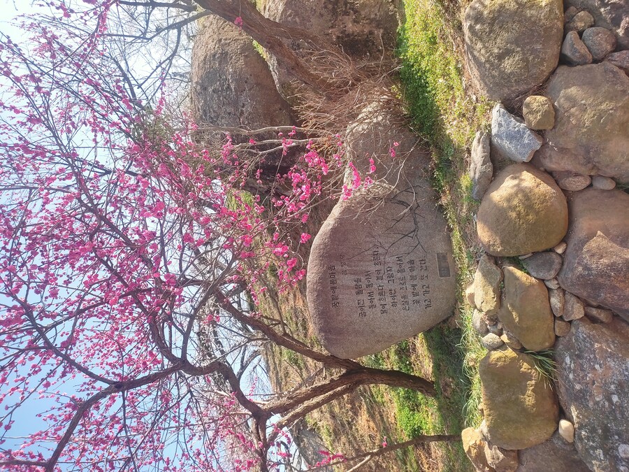 광양 여행_84.jpg