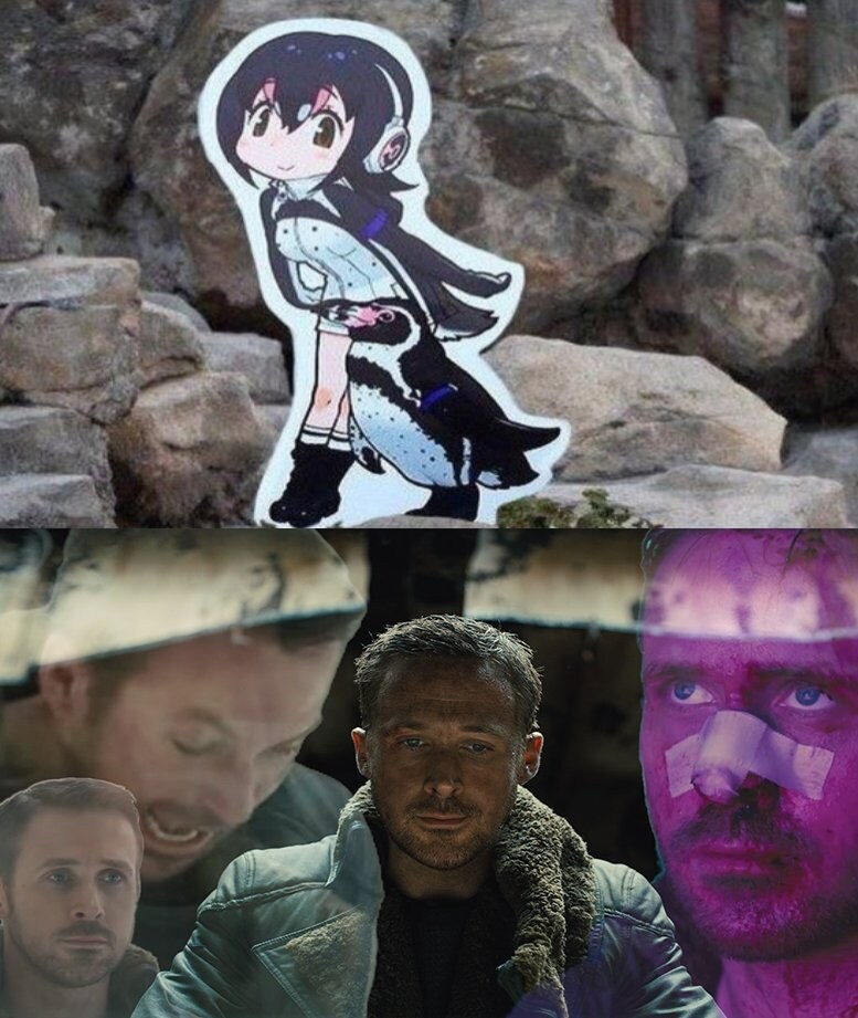 한때 전세계 씹덕들의 심금을 울렸던 어느 펭귄의 이야기_1.jpg