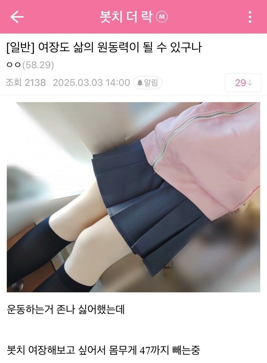 봇치더락을 보고 삶의 원동력을 얻은 디시인.jpg