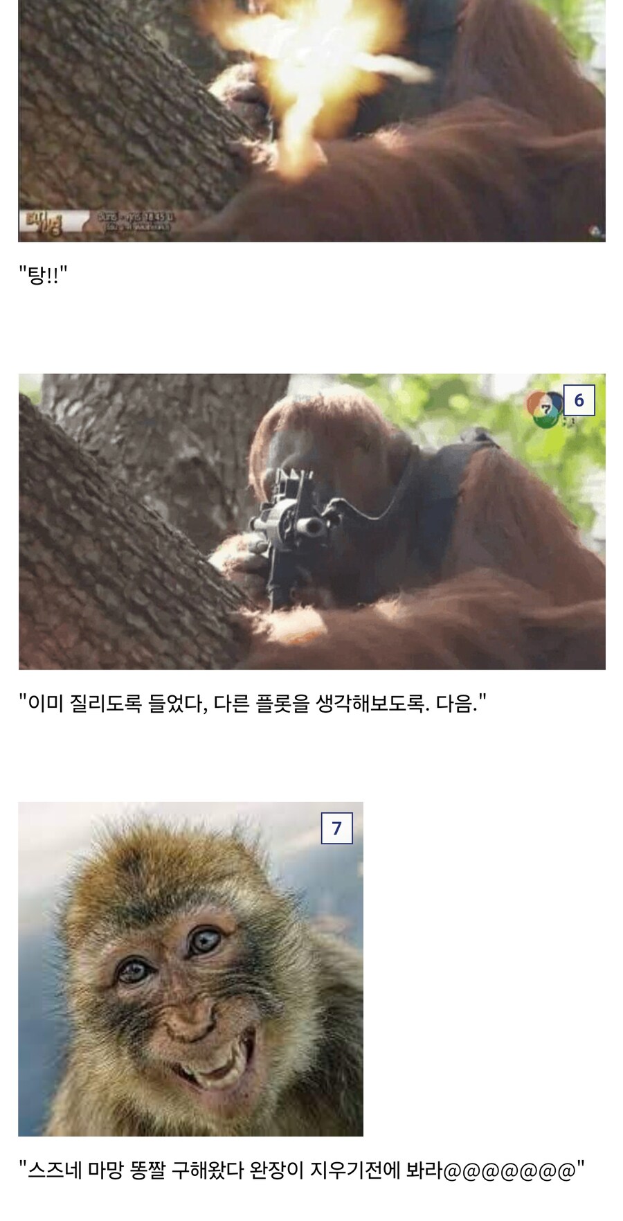 정지. 정지. 움직이면 쏜다_3.jpg