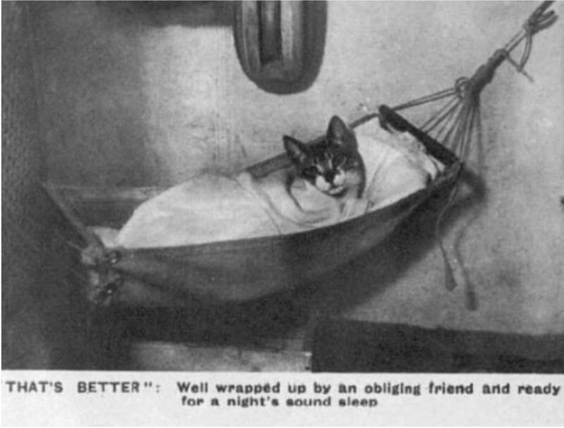 그래도 예전보다는 나아진 해군 침대_8.jpg