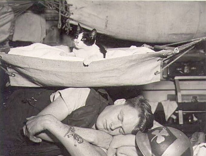 그래도 예전보다는 나아진 해군 침대_14.jpg