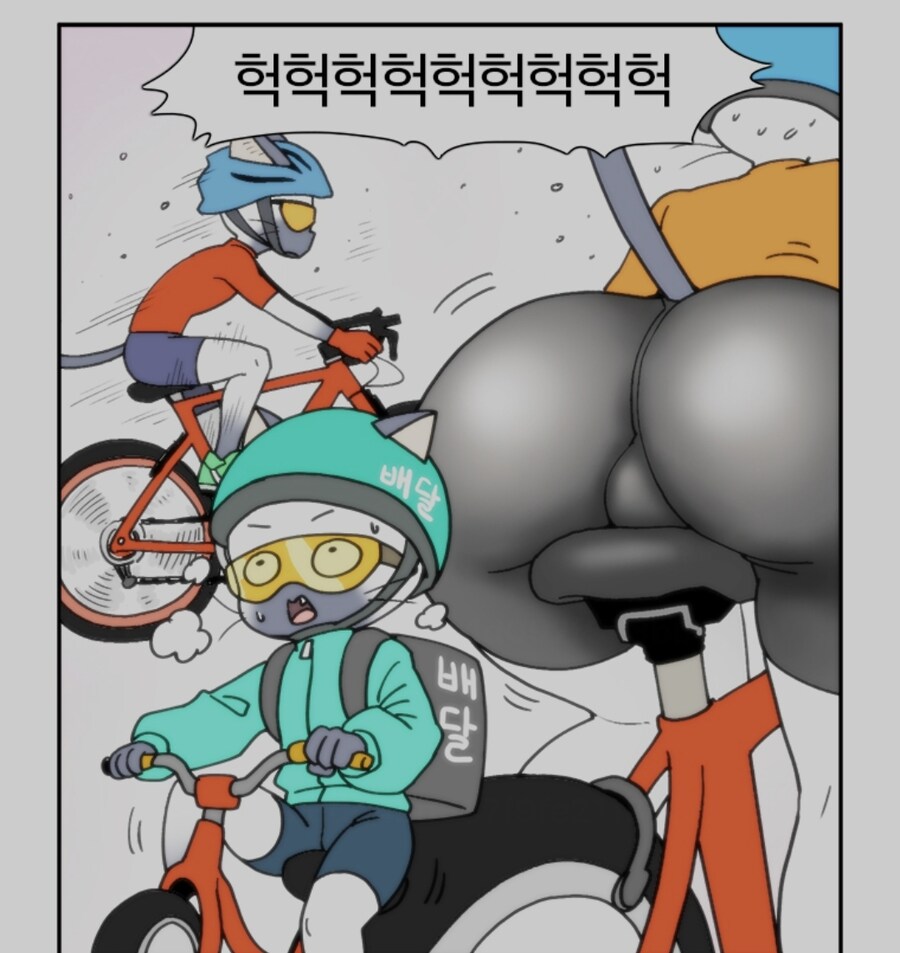 부기 고양이 새로운 취향 근황_1.jpg