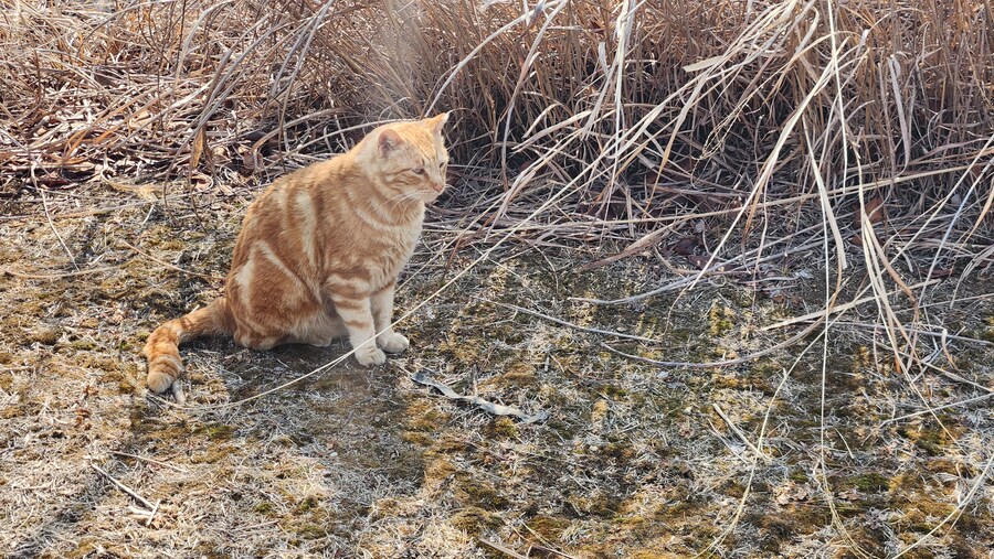 어제 서코를 포기하고 얻은 것_8.jpg