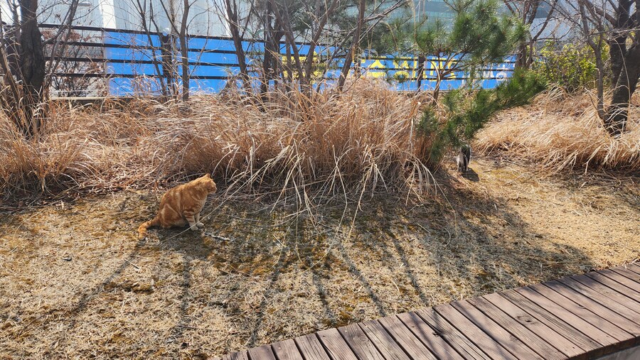 어제 서코를 포기하고 얻은 것_9.jpg