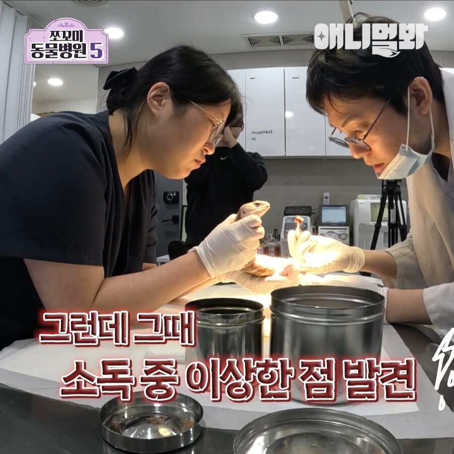 거시기에 플러그가 박혀 내원한 환자_1.jpg