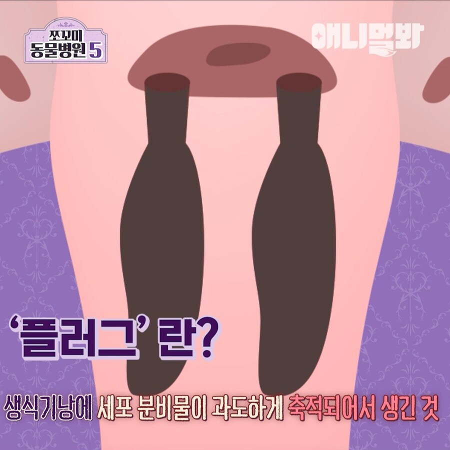 거시기에 플러그가 박혀 내원한 환자_4.jpg