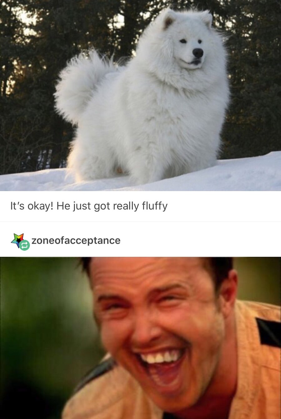 세탁기에 들어가서 자는 멍뭉이_4.jpg