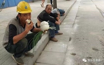 중국 청년들이 농사지으래도 버티는 이유.jpg_1.jpg