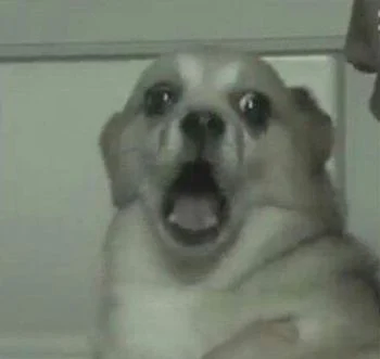 미국이 요구한 계란 1억개는 얼마나 될까?_4.webp