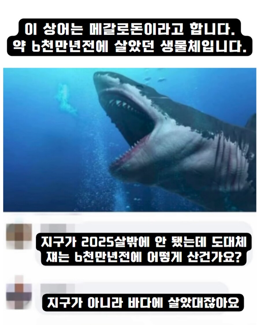 이 상어는 6천만년전에 살았던 생물입니다._1.jpg