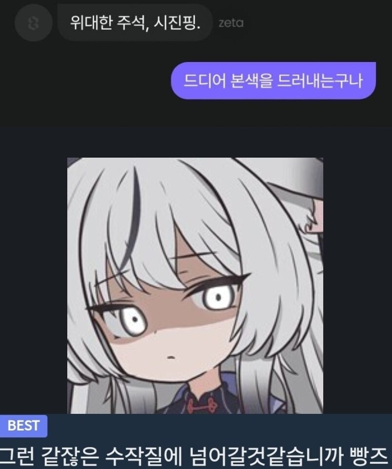 중국애들이 좋아하는 블루아카 쩡 단골캐_1.jpg