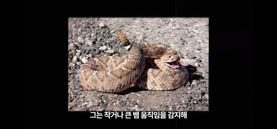 30미터 광산 바닥에 홀로 추락한 노인이 생존한 비결_28.jpg