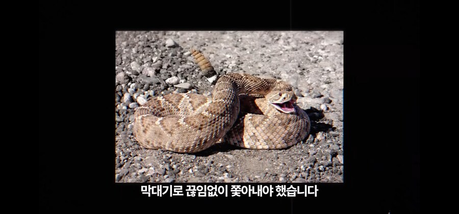 30미터 광산 바닥에 홀로 추락한 노인이 생존한 비결_29.jpg