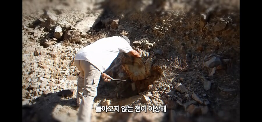 30미터 광산 바닥에 홀로 추락한 노인이 생존한 비결_36.jpg