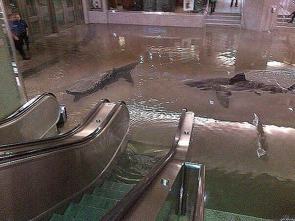 약혐, 스압) 상상력을 자극하는 짤들_12.jpg