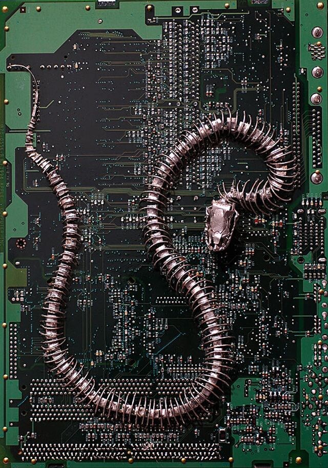 약혐, 스압) 상상력을 자극하는 짤들_38.jpg