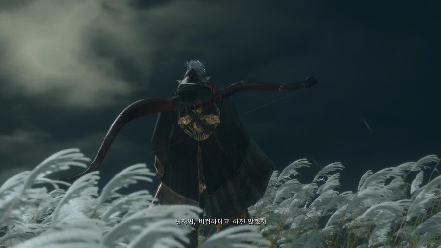 애증의 세키로 플레티넘 따면서 소감 남깁니다 (스포無)_1.jpg