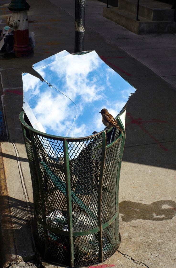 약혐, 스압) 상상력을 자극하는 짤들_40.jpg