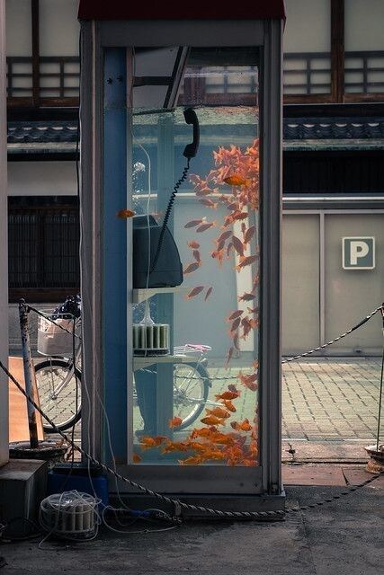 약혐, 스압) 상상력을 자극하는 짤들_43.jpg