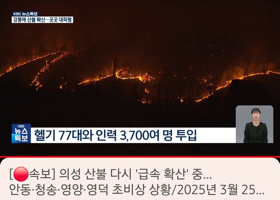 이렇게 산불 났는데 KBS는 뭐하냐 재난방송 안트냐?_5.png
