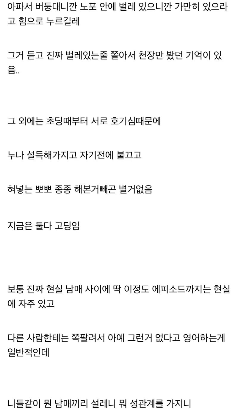 난 여동생은 모르겠고 친누나는 있는데 소설좀 쓰지마라.._3.jpg