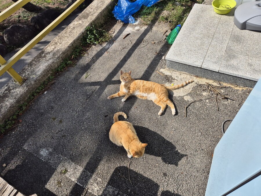 요양병원 짬타이거_1.jpg