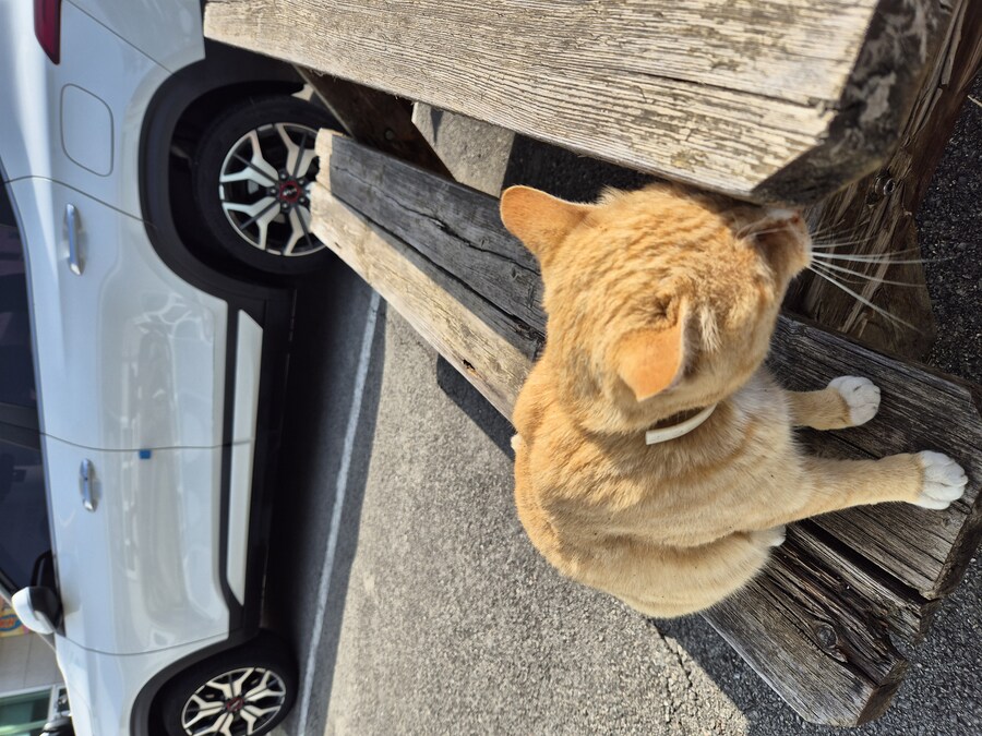 요양병원 짬타이거_3.jpg