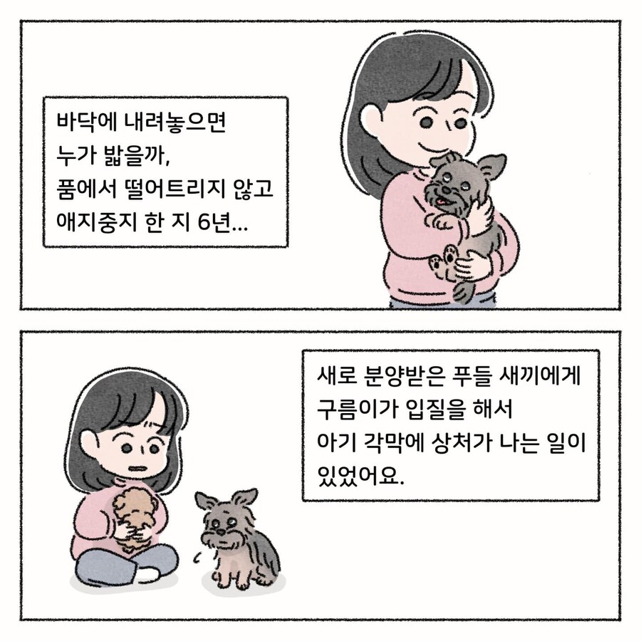 지인자막합사 그린 작가도 황당하다는 사연툰