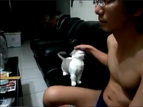 추억의 루리웹 마스터 야동_1.png