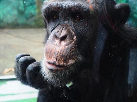 이쯤에서 다시 보는 엔비디아 10억 숏좌_9.jpg