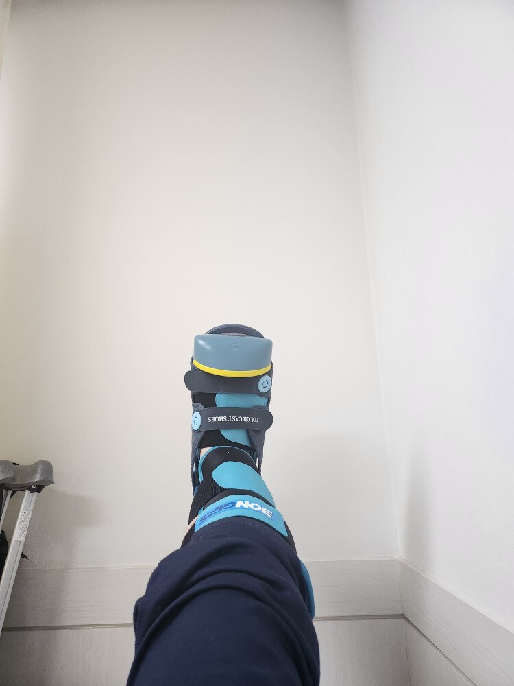 멀쩡한 길걷다 발목에 금가는 애 봄 ㅋㅋㅋㅋㅋ_1.jpg