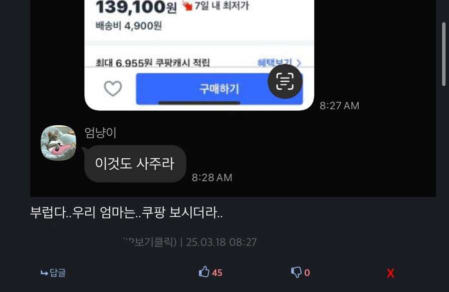 어머니가 이상한 유튜브 보는 유게이들_4.jpg