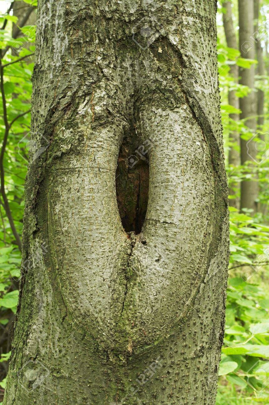 어이어이 장작탭이 따로 있다니 미친 거냐고 아앙?_3.jpg