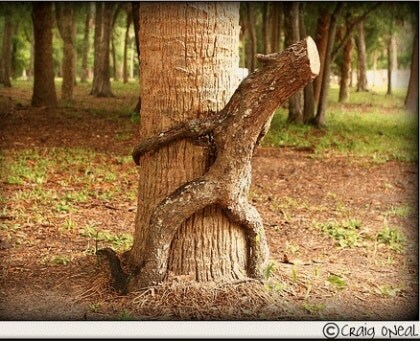 어이어이 장작탭이 따로 있다니 미친 거냐고 아앙?_9.jpg