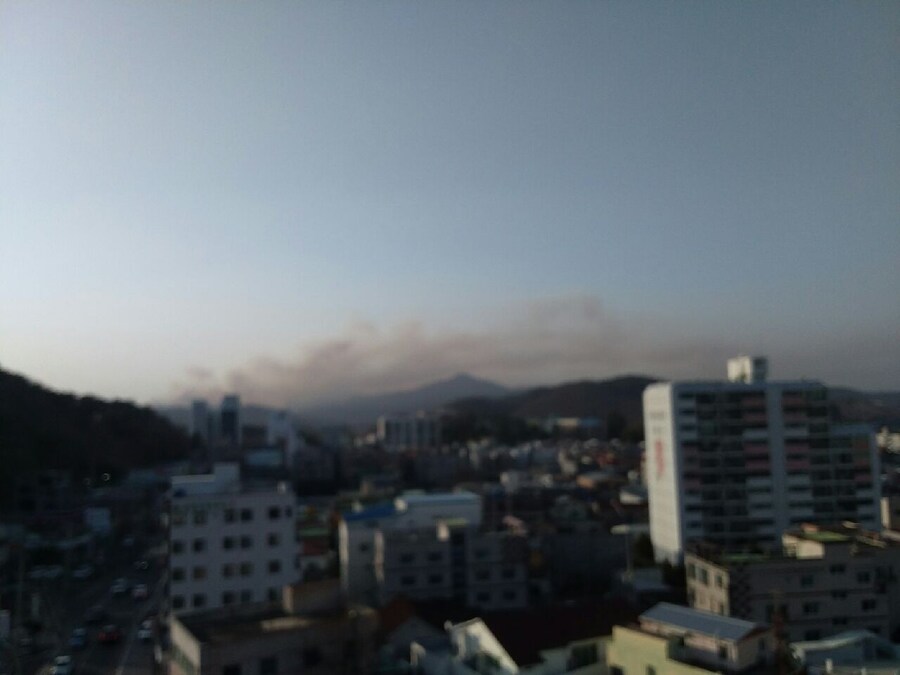 휴 살아남았다 (울주 산불 근황)_2.jpg