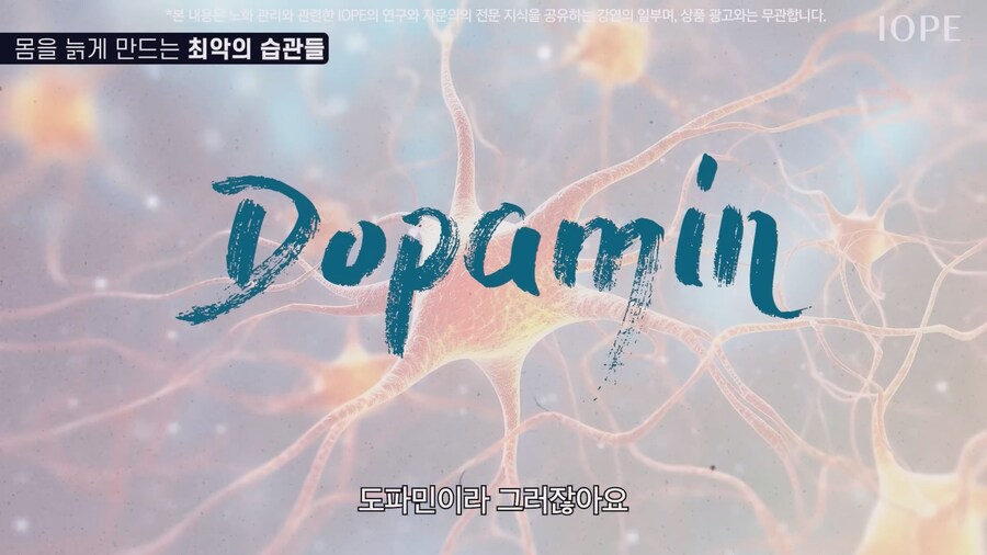 쇼닥터 아니라는 저속노화 교수 강의를 찾아봤다_6.jpg