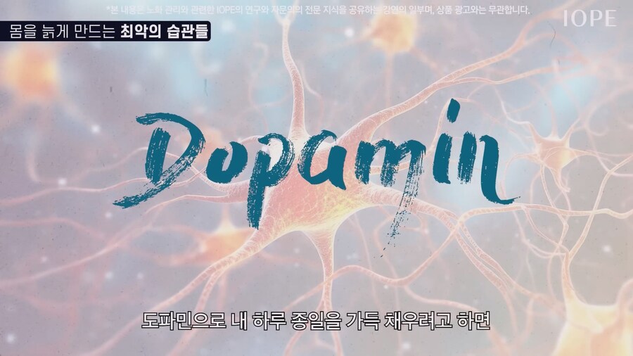 쇼닥터 아니라는 저속노화 교수 강의를 찾아봤다_7.jpg