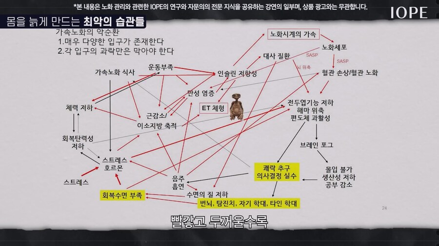쇼닥터 아니라는 저속노화 교수 강의를 찾아봤다_43.jpg