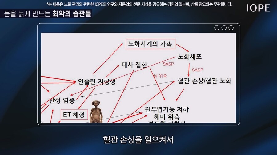 쇼닥터 아니라는 저속노화 교수 강의를 찾아봤다_69.jpg